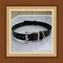 more style pet lead dog collars with TPU materials,china manufacturer